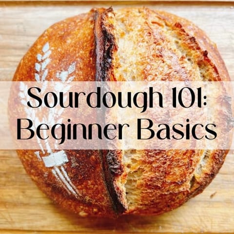 Sourdough 101: Beginner Basics